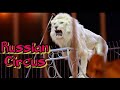 Russian circus ||@adtv6