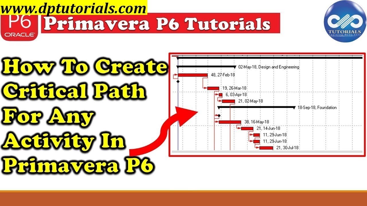 primavera p6 tutorial for beginners