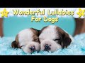 Calming sleep music for dogs and puppies  calm your dog  lullaby for dogs