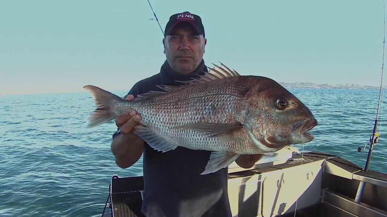 Last day in Paradise fishing a Magic spot in the far North YouTube