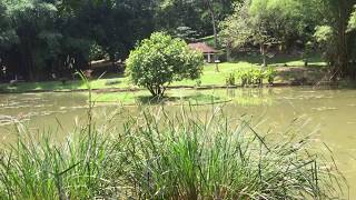 الحديقة الملكية في سريلانكا كاندي / تغطية مكتب الوليد للسفر والسياحة
