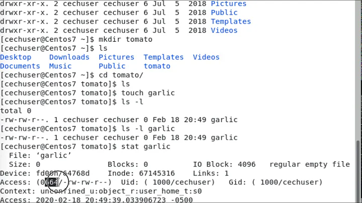 File permissions in CentOS Linux