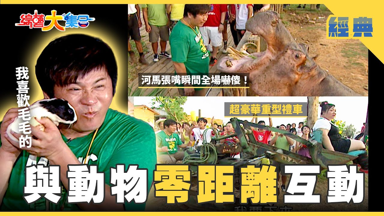 【綜藝大集合 經典】與動物零距離互動🐾會呼吸的石頭竟然是超大隻烏龜🐢！！ 台中 2026.1.31