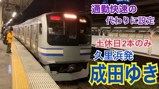 【通快の代わりに設定】横須賀線(総武快速線) E217系 普通(東京から快速) 成田ゆき到着→発車@品川