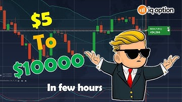 5$ to 10000$ in iq option trading - Binary option is a scam - check the description