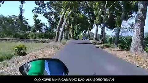 LAGU DJ JAJAL KOWE DADI AKU-dj kentrung-SAFIRA INEMA(OFFICIAL VLOG LMJ)