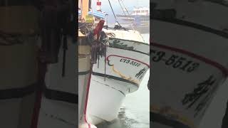 Typhoon Danas makes landfall in China's Taiwan