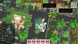 Pirates Online - Putting Dogs Under Shoes