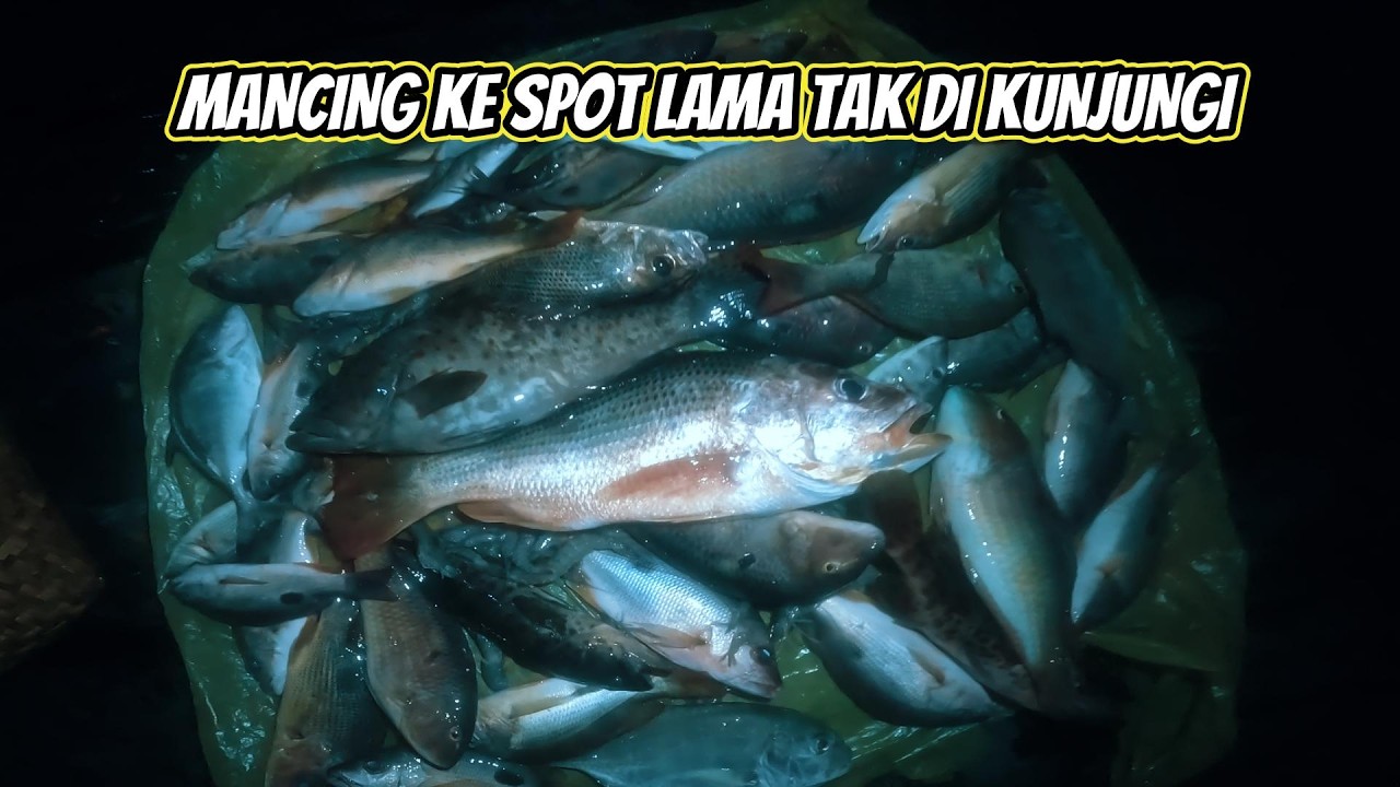 MENCOBA MANCING KE SPOT LAMA