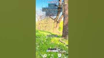 معنى كلمة :(فاقرة)٢٢٩-شرح مفردات غريب القرآن/سورة القيامة،الشيخ خالد الحرمي.