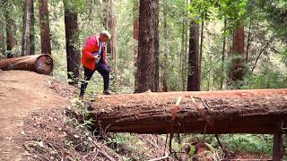 Santa Cruz County - Big Basin Redwoods Loop Hike