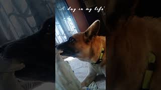 shifting to my brother's room #minivlog #restarting #hostelvibe