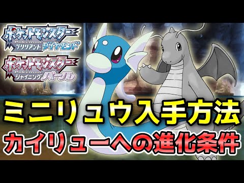 ダイパリメイク ミニリュウ入手方法 カイリュー ハクリュー への進化条件 ポケモンbdsp Youtube