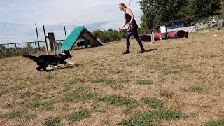 Agility Foundations | Sykes Lesson 1 - Session 3 & 4 & 5