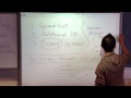 Neural Networks and Their Learning Process