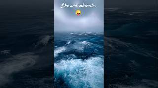 #merchant navy # attitude #trending#reelitfeelit ☠️☠️☠️like