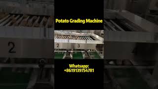 Choose Automated Potato Grading Machine for Rapid Economic Improvement Choose Automated Potato Grading Machine for Rapid Economic Improvement