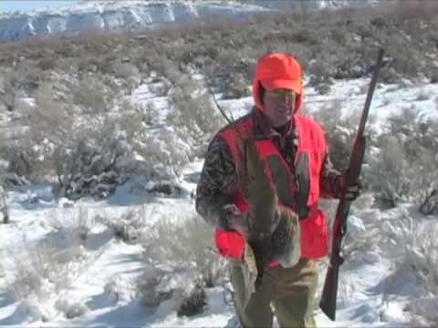 Jay Ashworth pheasant hunting 2009