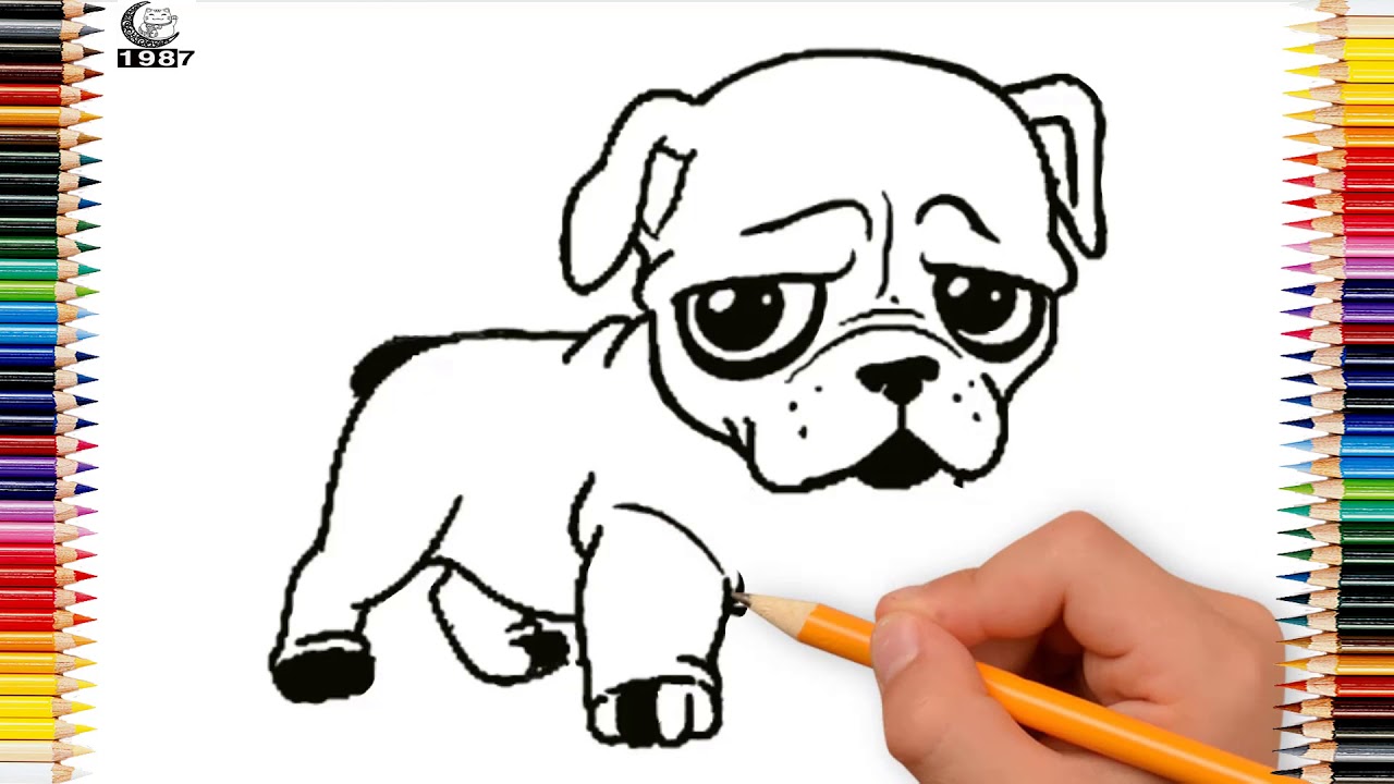 vẽ và tô màu con chó mặt xệ - YouTube