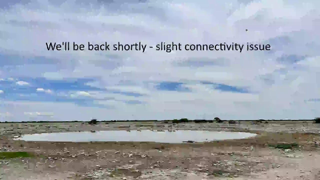 Okaukuejo Resort, Wildlife Waterhole: Live camera stream in the Etosha National Park in Namibia