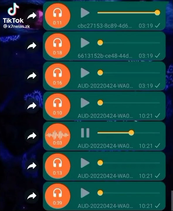 áudio pro zap | sinto cheiro de xoxota