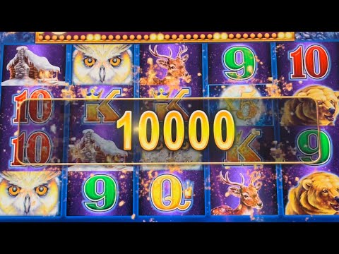 BEAUTIFUL 10X WIN ON OWLS🦉#slotman #chumashcasino #timberwolfdeluxe #casino #download