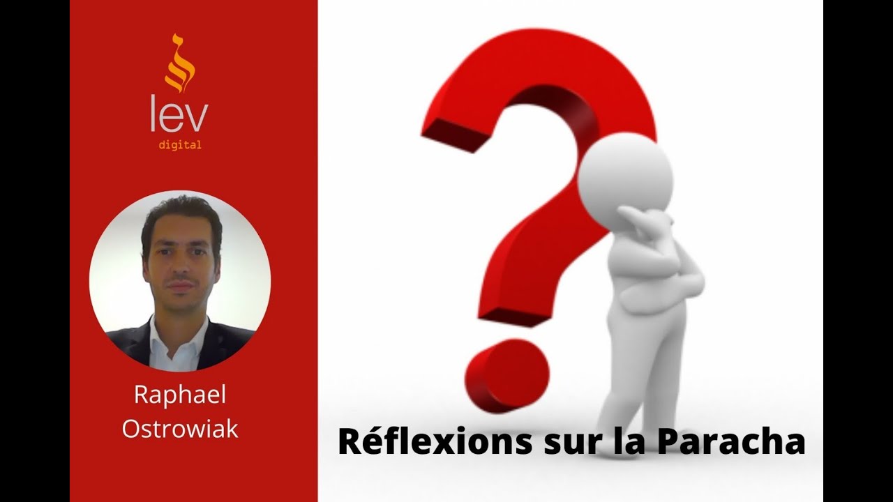 Réflexions sur la Paracha :  Tazria - La Puissance de la Brit Mila - Raphael Ostrowiak