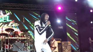 Famous Nesbeth LIVE at Rebel Salute 2016 Net Worth