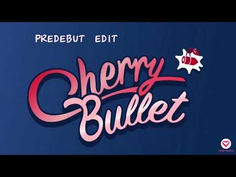 CHERRY  BULLET May Predebut Photos