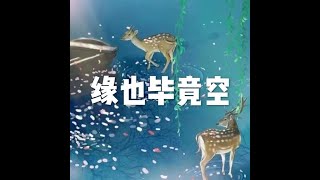 201904 缘也毕竟空51166