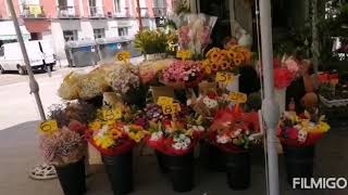 Open Flower's Market Madrid