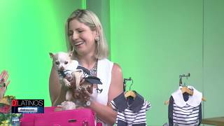 Moda para Perritos. Cindy Deras nos presenta interesantes opciones