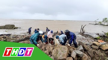 Cà Mau công bố tình huống khẩn cấp về sạt lở đê biển Tây | THDT
