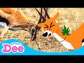 Help gazelle in danger  gazelle gotta bounce  animal songs  dragon dee songs for children