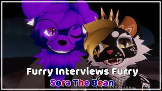 Furry Interviews VRChat Skit Creator! - Sora The Bean