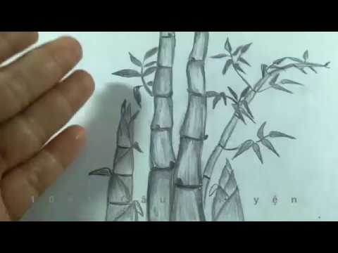 How To Draw Bamboo/ Vẽ Cây Tre Và Búp Măng Non Đơn Giãn Bằng Bút Chì -  Youtube