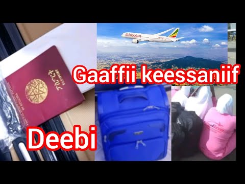 Dubai Warri Jirtan Fi Deemuf Jirtan Biroo Fi Madamii Dirqama Sirra In Qaban