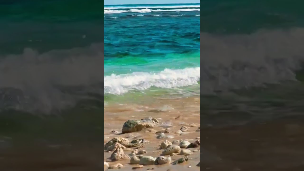 🏞️#stressrelief, #sleep Quickly with Soothing Sounds of Calm Sea & Birds Chirping 🐦 adlı videoyu YouTube'da izle 🏞️#stressrelief, #sleep Quickly with Soothing Sounds of Calm Sea & Birds Chirping 🐦 adlı videoyu YouTube'da izle