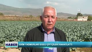 Ekim Yağmurları Egeli Çiftçileri Rahatlattı