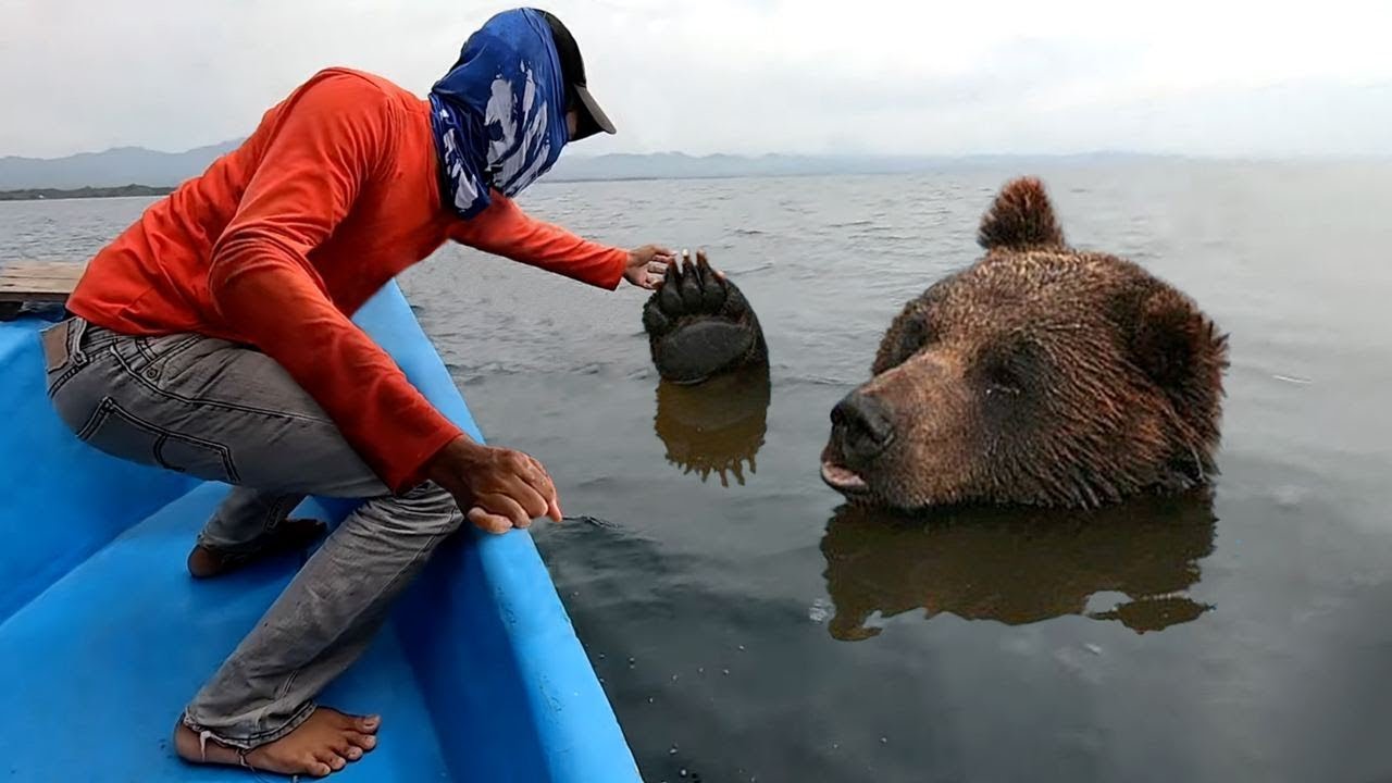 This Drowning Bear Asks Human For Help, What Happens Next Will Shock