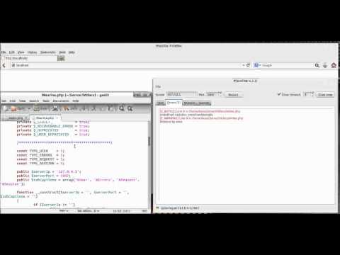 Maurina debug console demo with PHP