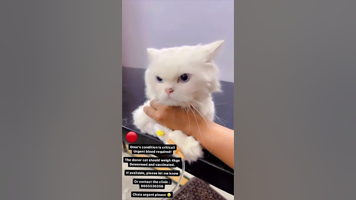 Urgent/Emergency/Geethu Royal conditions is serious/Help#viral#share#biggboss @StarMaaOfficial