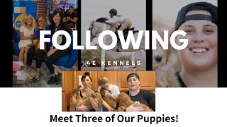 Following 4E Kennels! Meet 3 of Our Puppies! by 4E Kennels  207 views 8 months ago 8 minutes, 34 seconds