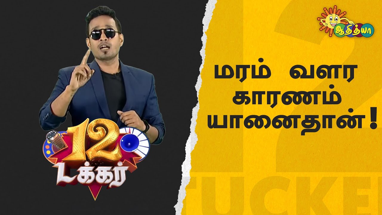 Best of Musical Pranks Just For Laughs Compilation