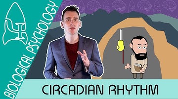 De slaap-waakcyclus: circadiaans ritme - Biologische psychologie [AQA ALevel]
