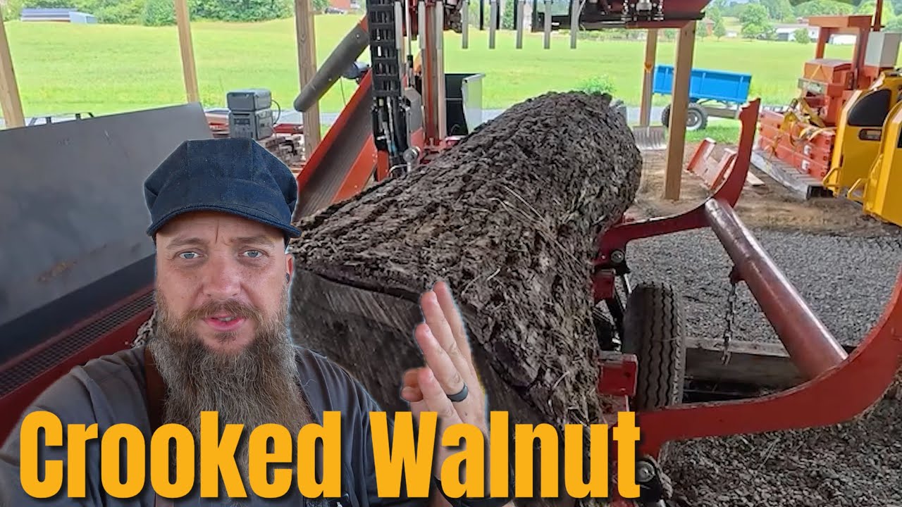 Это бревно из орехового дерева было так изогнуто, что я чуть не пропустил его.