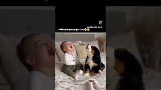 Şunlarin Guzelli̇kleri̇ne Bakarmisiniz Bunlar Begeni̇lmezmi̇?