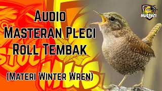 Audio Masteran Pleci Roll Tembak Materi Winter Wren ‐ Mustoci