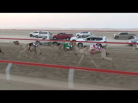 الشوط2 سلاب للسيد راشد محمد قران المنصوري توقيت 4 33 87