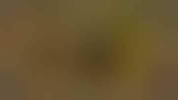 Gears of War 4 SWARMAK Inconceivable Difficulty with checkpoints